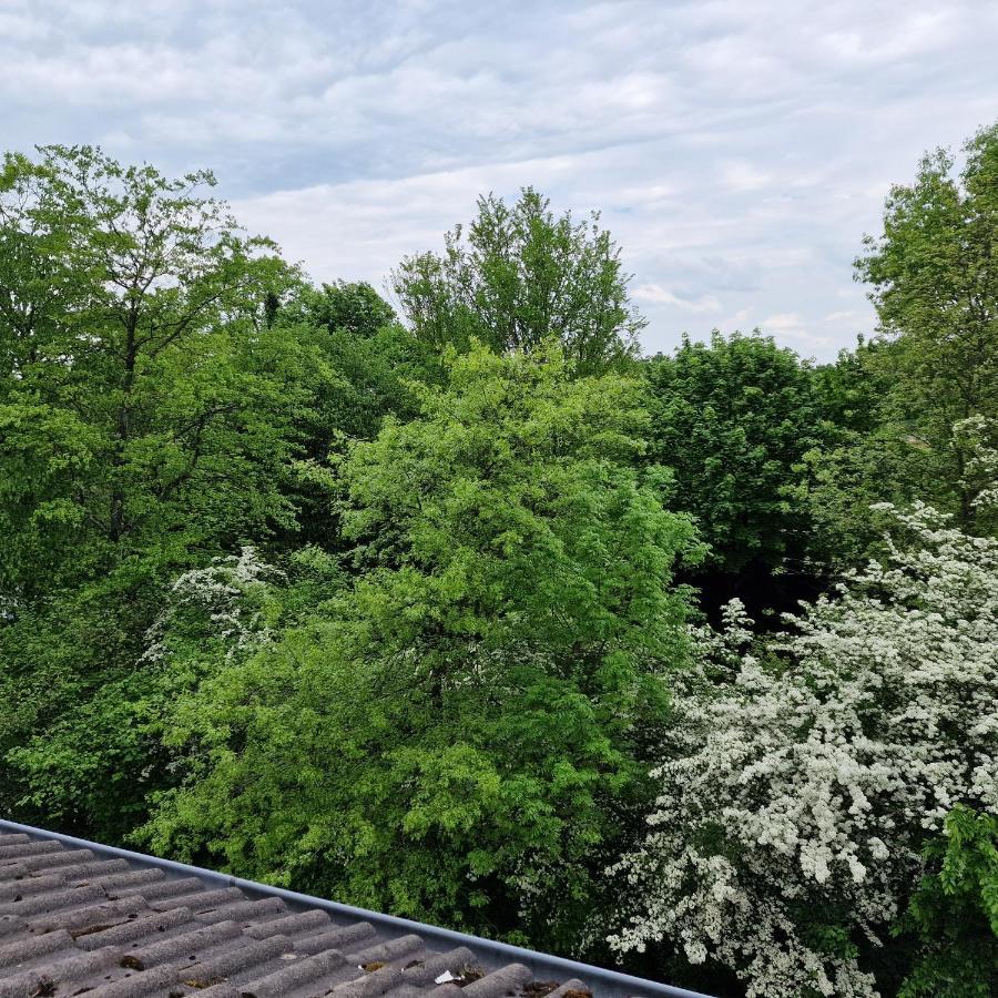 Apartamento Zuhause Im Gruenen Essen Exterior foto